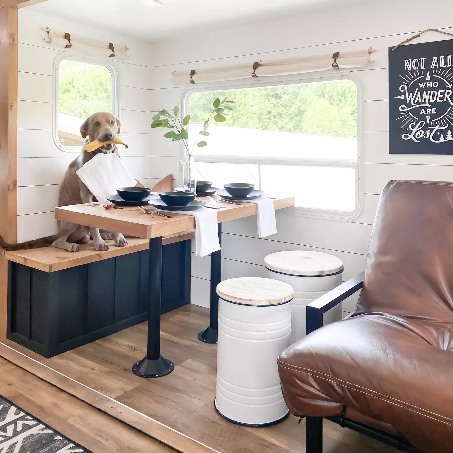 Gray dog sitting at an RV dinette with sharpie shiplap walls in the background